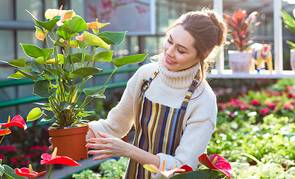 Mujer toma maceta con una planta y flores blancas en un lugar lleno de plantas bajo el sol.