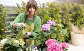 ¡Mantén tus plantas sanitas! Todo lo que necesitas saber para combatir la conchuela