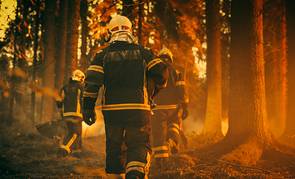 ¡Prepárate! Consejos y cuidados para prevenir incendios forestales