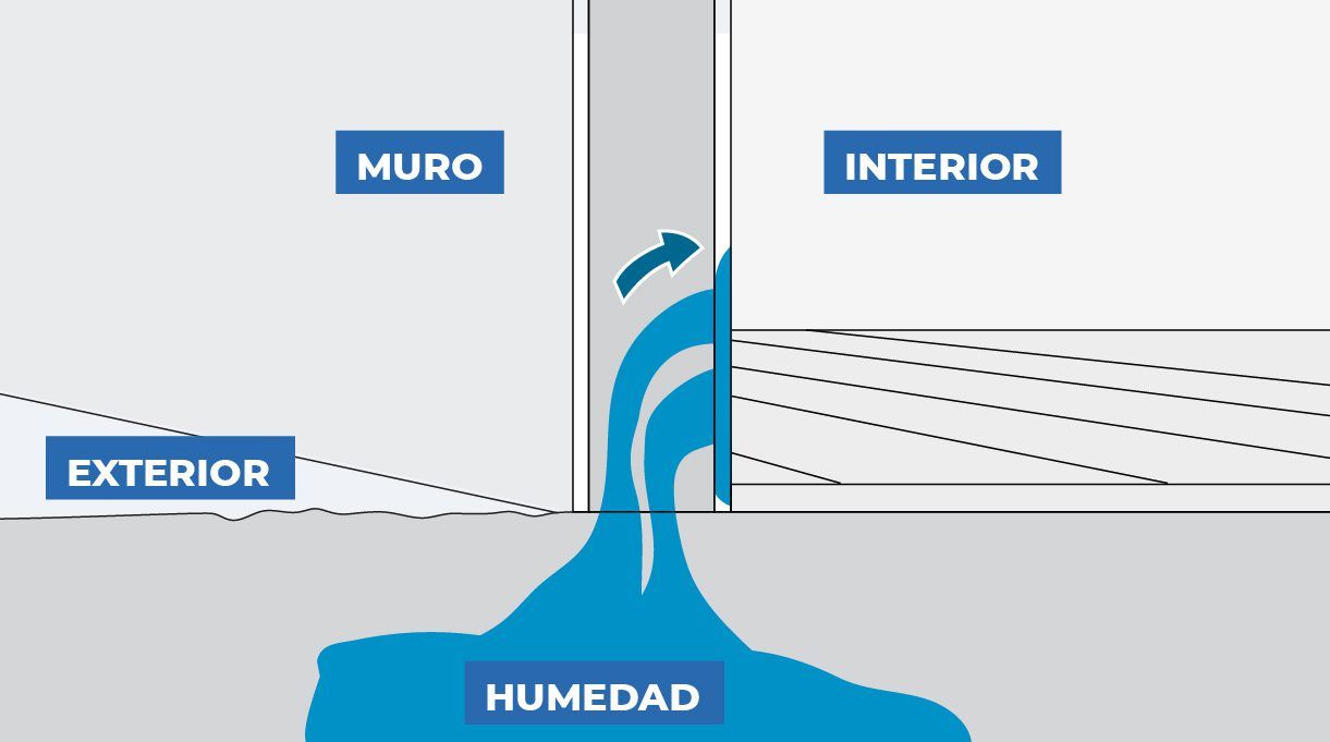 Humedad del subsuelo