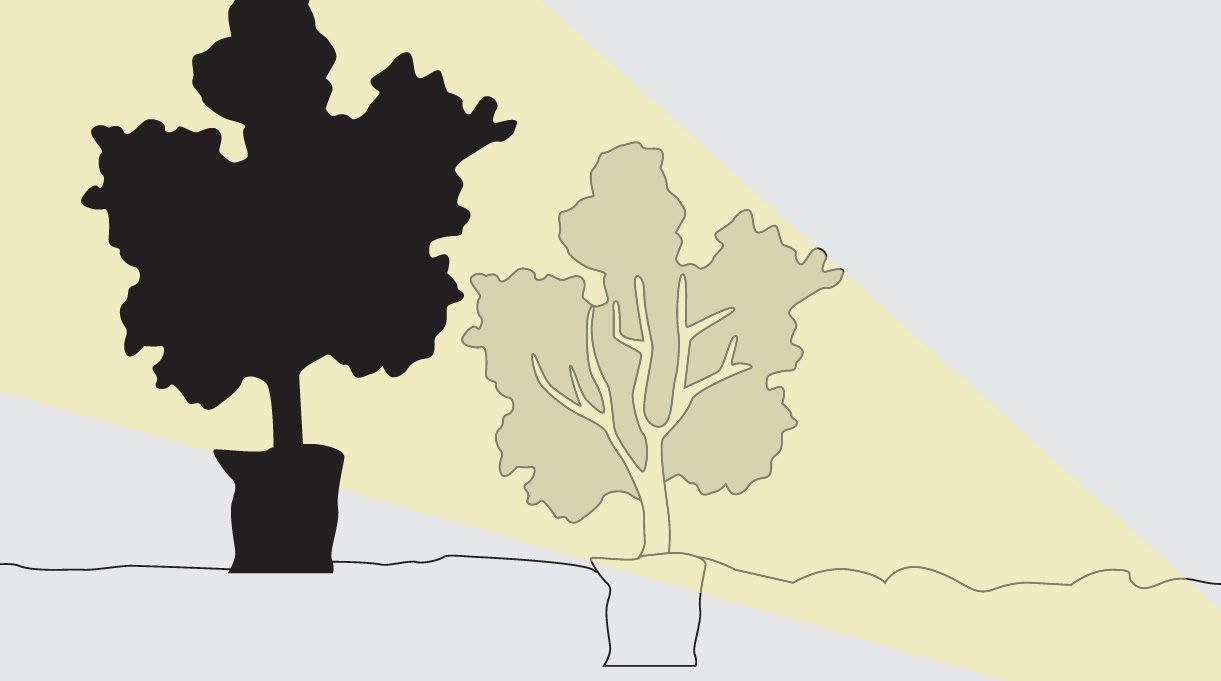 Creación de sombra