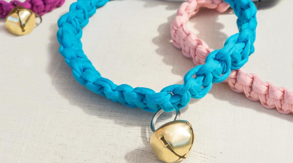 <strong> ¿Cómo hacer </strong> un collar de trapillo para tu mascota?