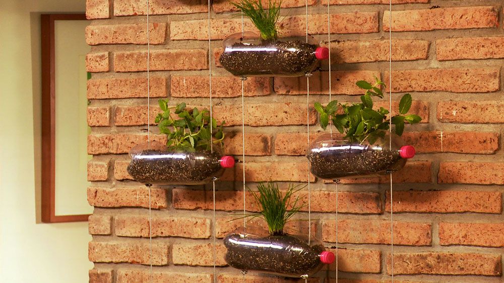 <strong> ¿Cómo hacer </strong> un jardín colgante reciclando botellas?