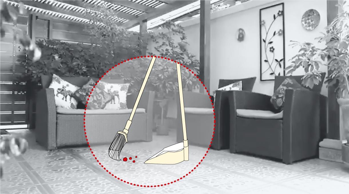 limpiar el espacio para perros y gatos en casa