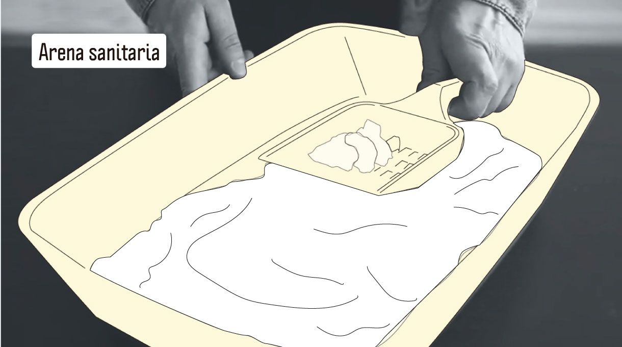 arena sanitaria para baño de gato