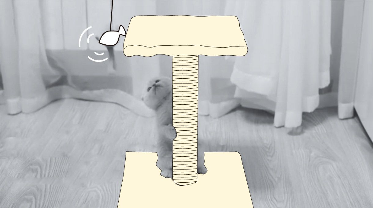 rascador para gatos