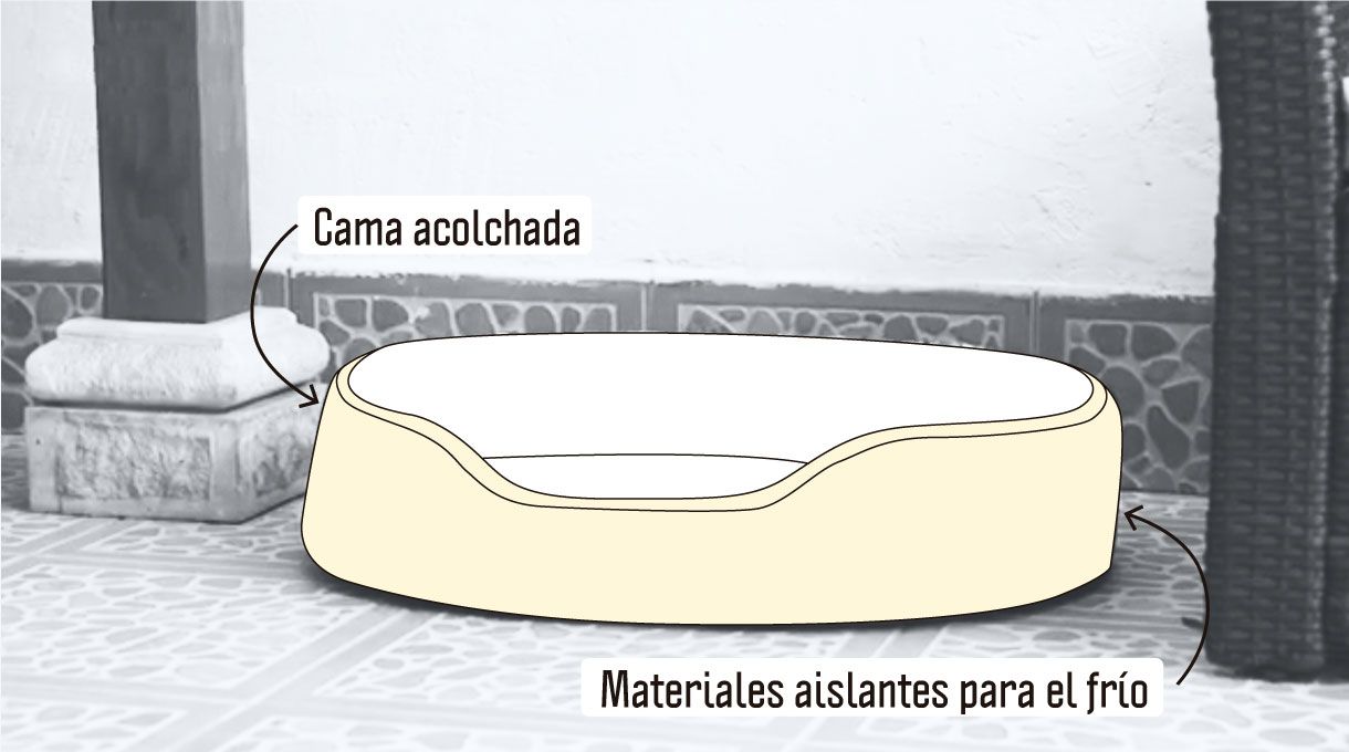 elegir una cama acolchada