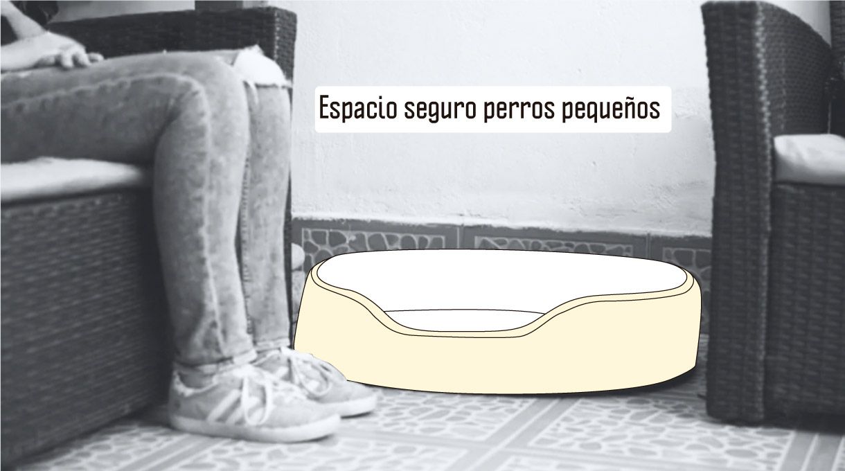 cama con espacio seguro para perros pequeños