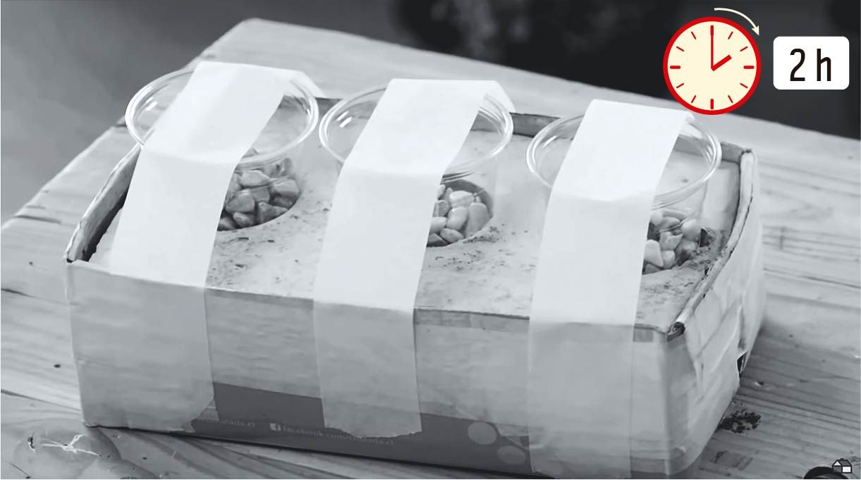 afirmar los vasos por arriba con cinta para enmascarar y dejar secar 2 horas mínimo