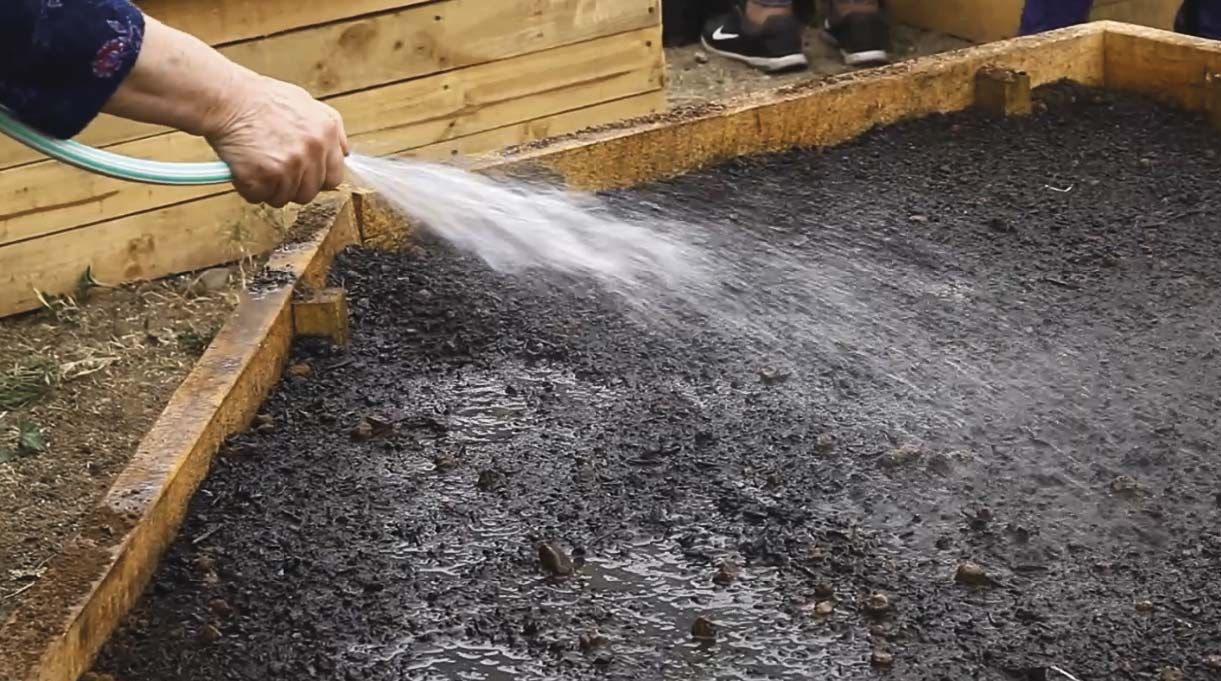 Manguera que riega plantas