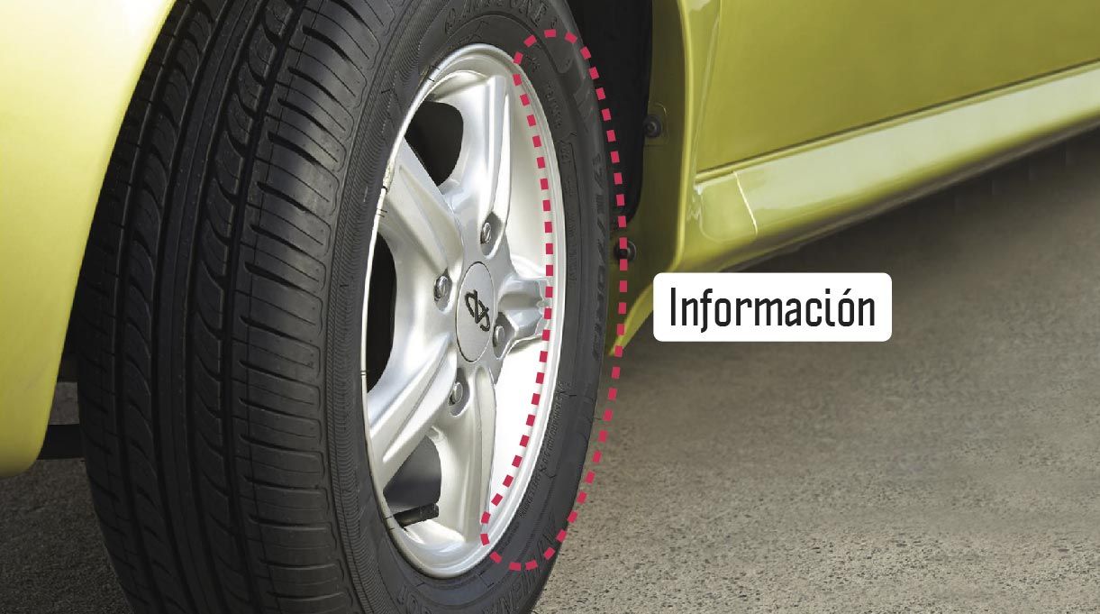 Información del neumático escrito en el canto