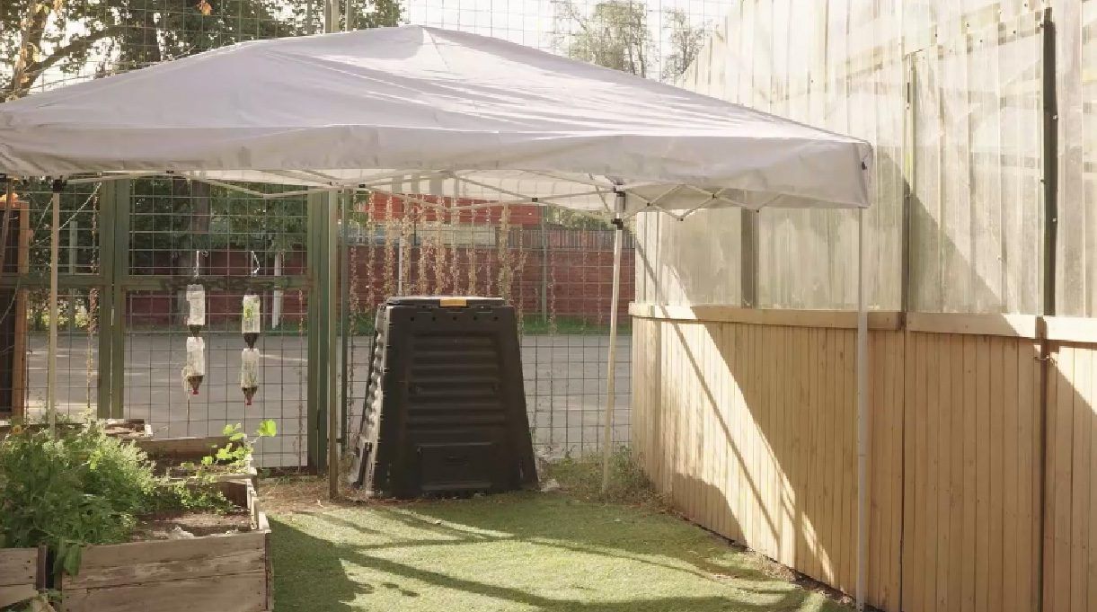 Toldo