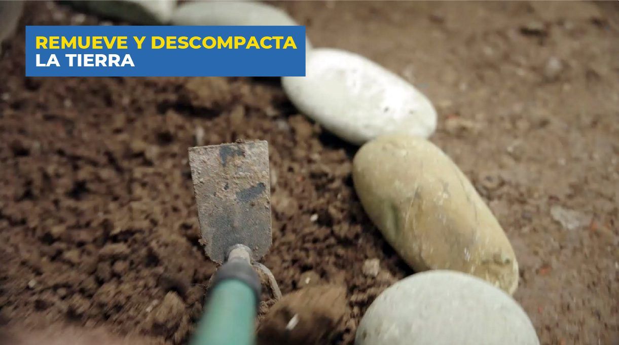 Descompactar la tierra