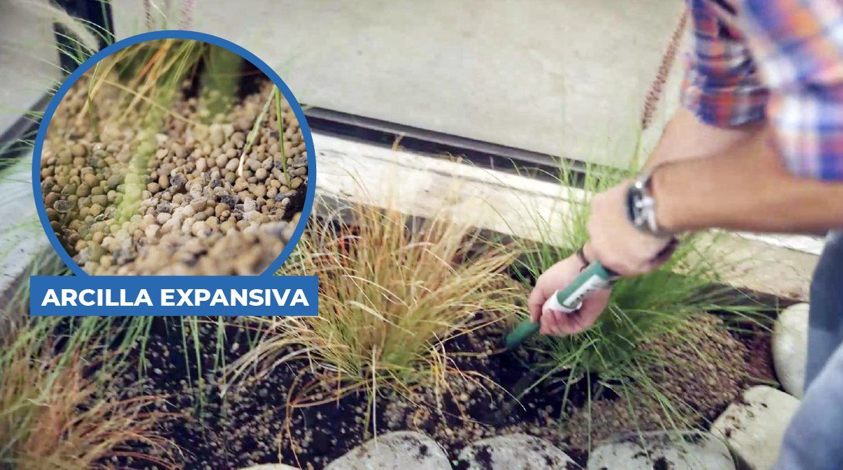 Planta y agrega arcilla expansiva