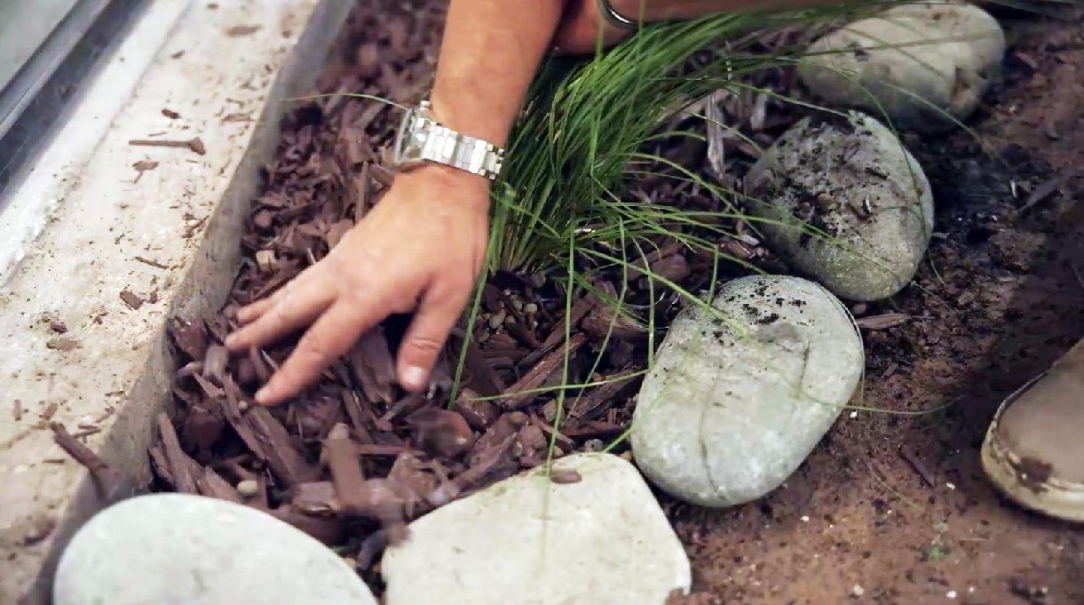 Colocar mulch
