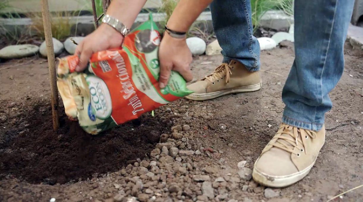 Aplicar sulfato para el magnolio