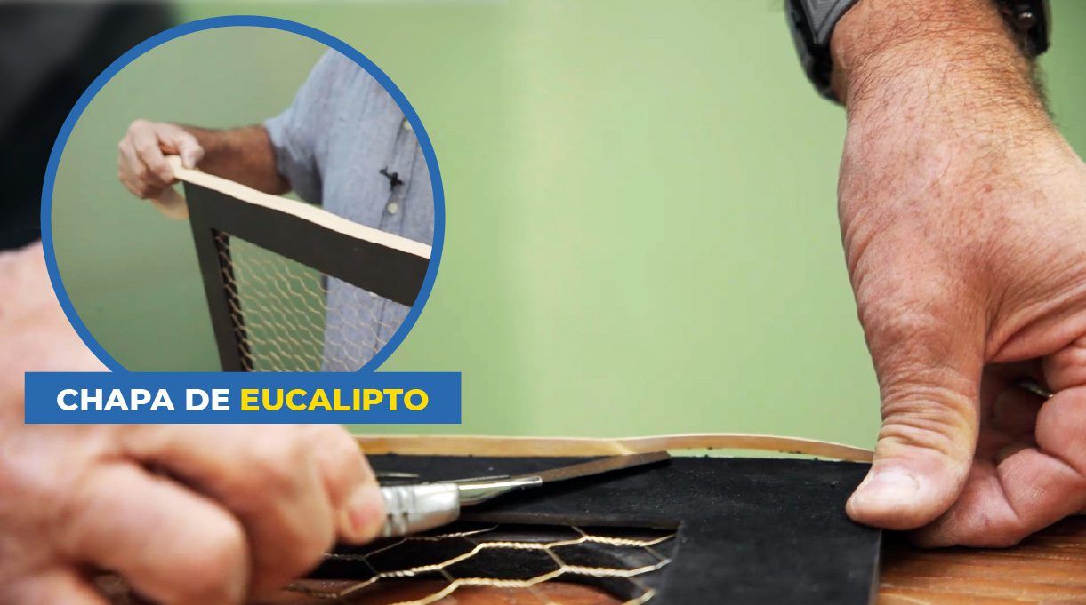chapa de eucalipto