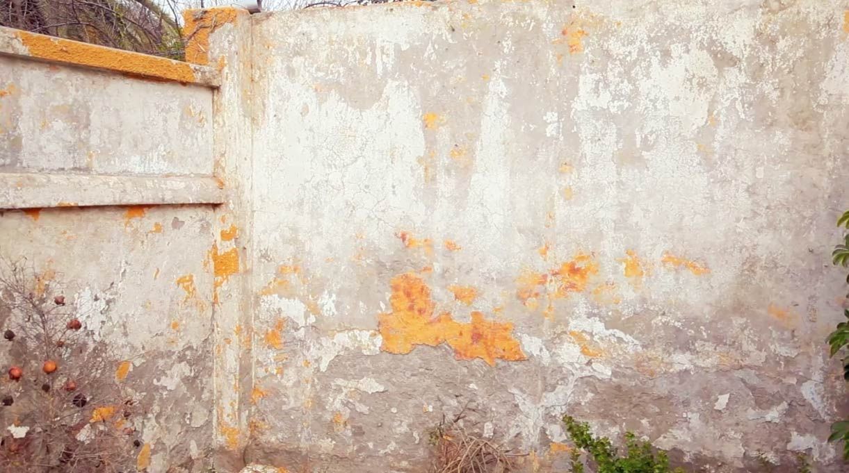 muro limpio