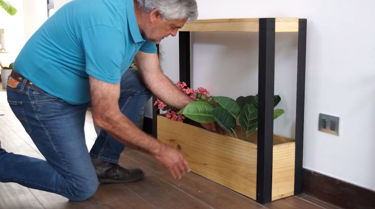 Poner las plantas en la jardinera