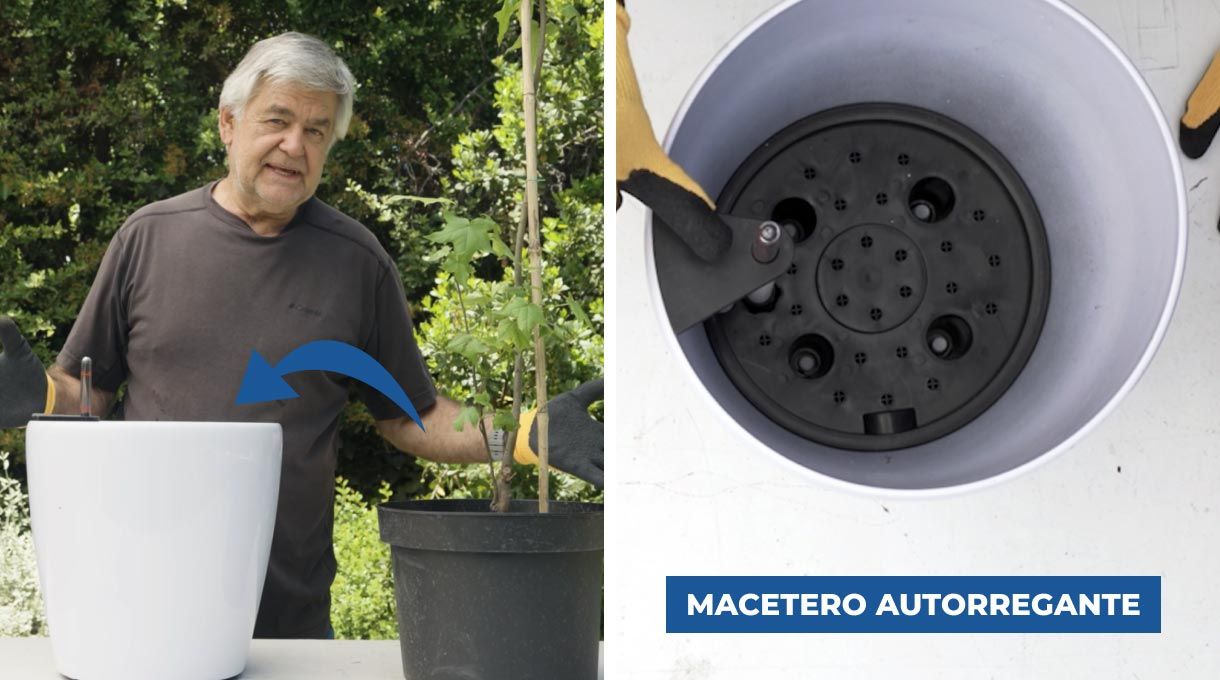 Macetero autoregante
