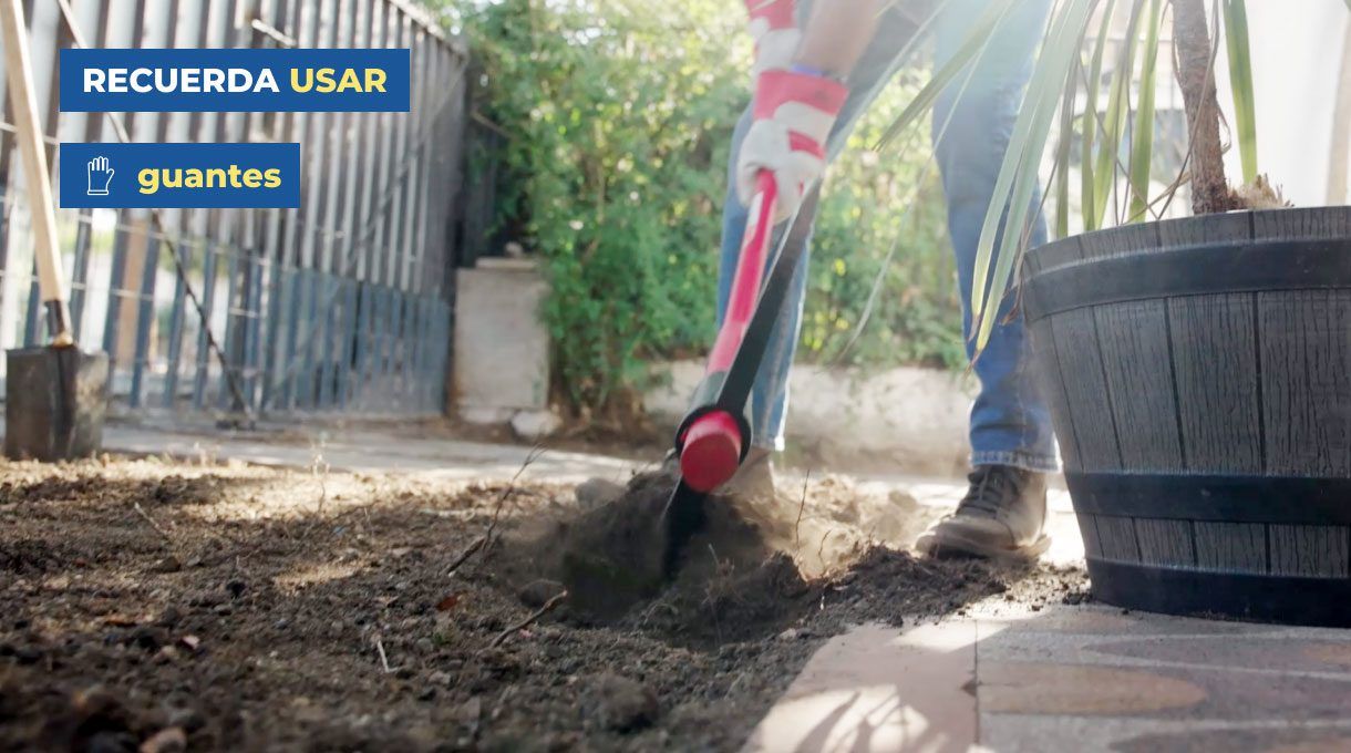 Con picota descompacta el terreno