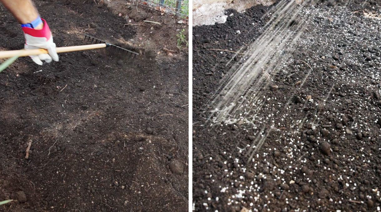esparce el abono en forma de lluvia, remueve con rastrillo