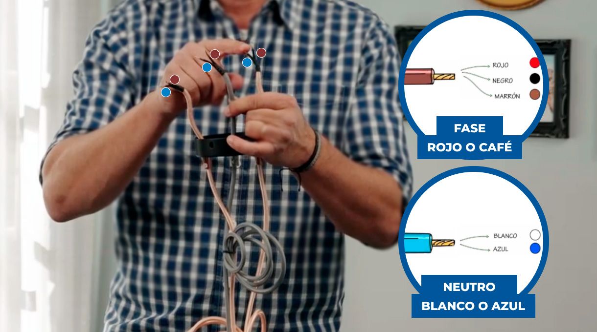 Imagen explicativa sobre los colores de los cables fase y neutro