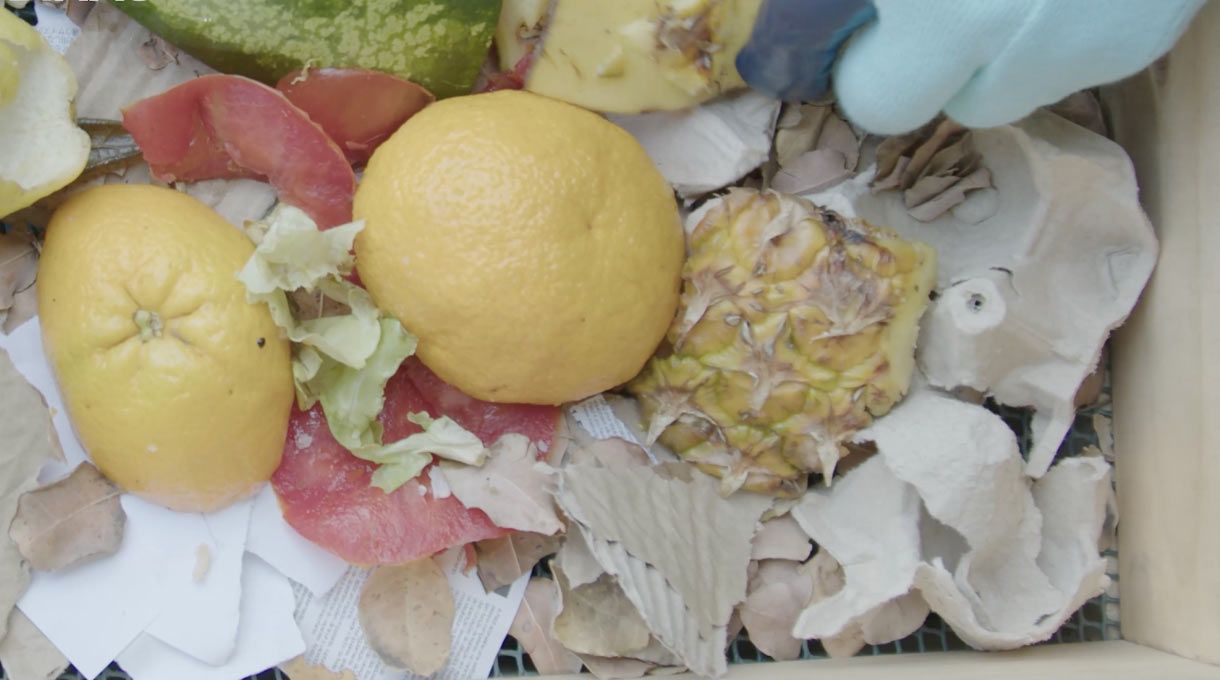 se ven residuos frescos de frutas y verduras y residuos secos como cartón, juntos para hacer compost en casa