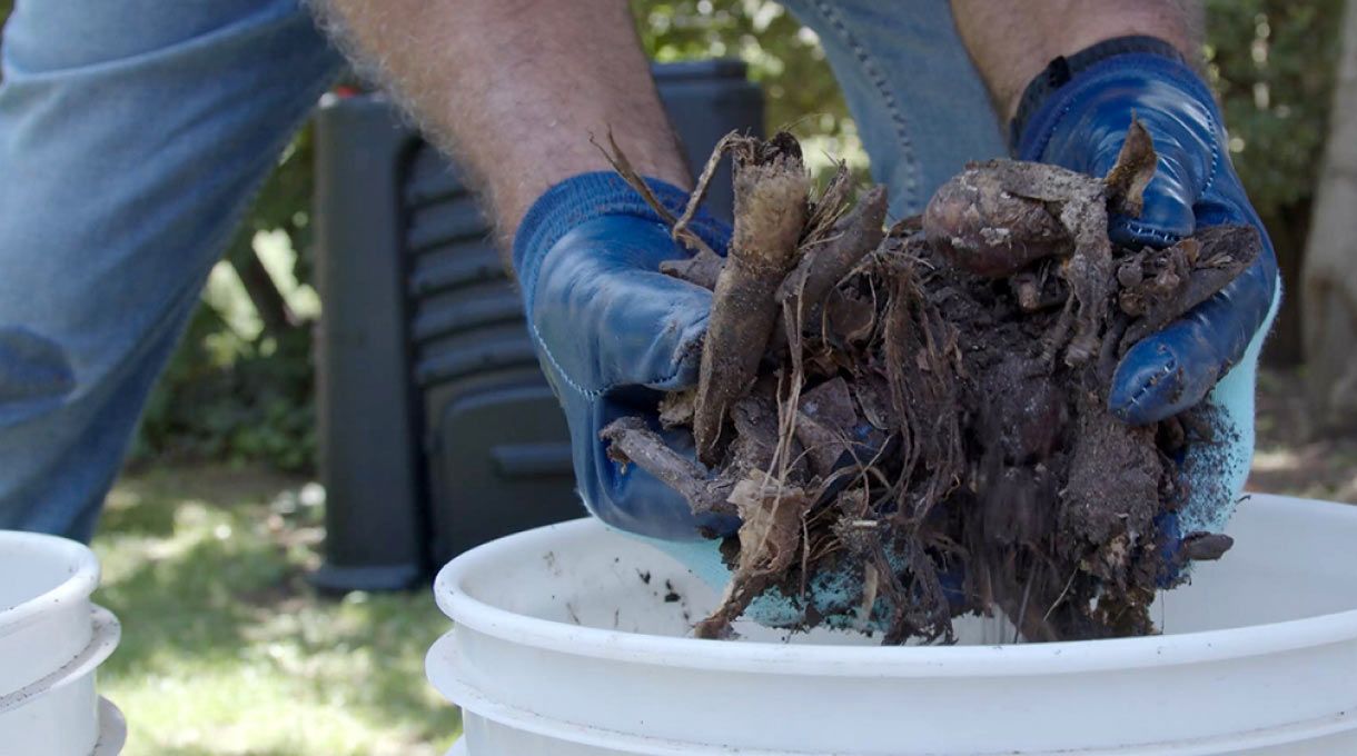 una persona sosteniendo un compost de poco tiempo de preparación, con pedazos de residuos aún enteros