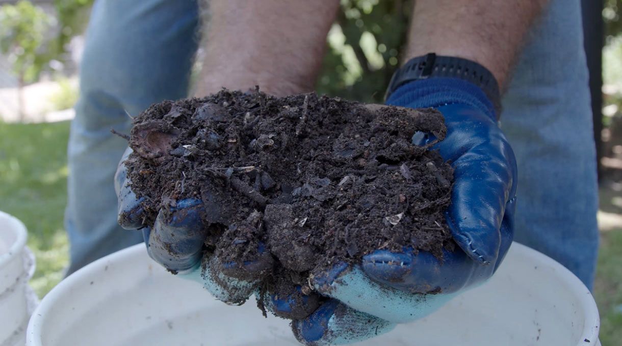 una persona muestra un compost más avanzado, pero aún no terminado