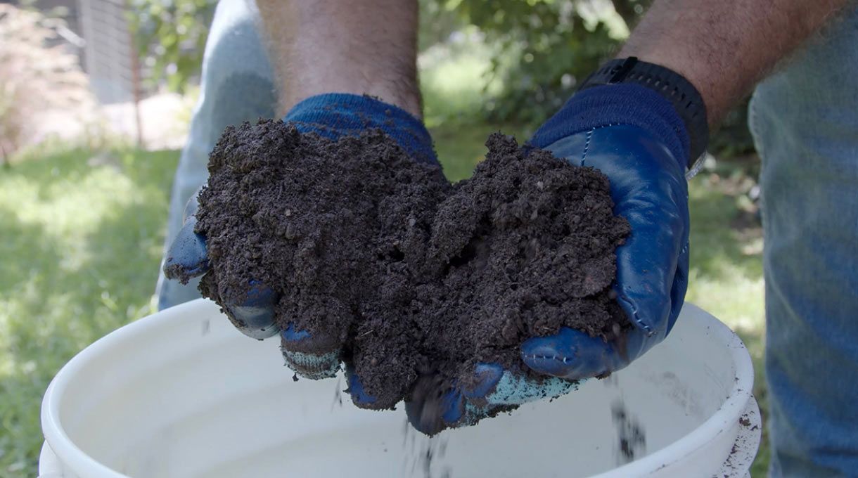 una persona muestra un compost terminado