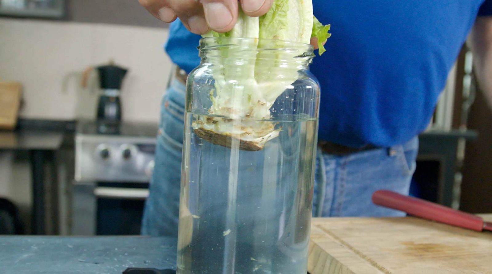 una persona pone la base de una lechuga en un frasco conservero con agua