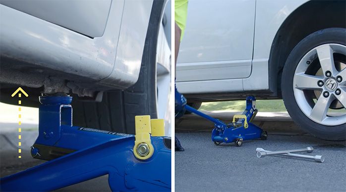 una gata caimán levantando un auto blanco