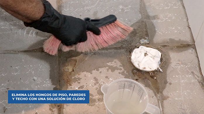 un hombre con guantes limpia con un escobillón los hongos alrededor del desagüe del baño