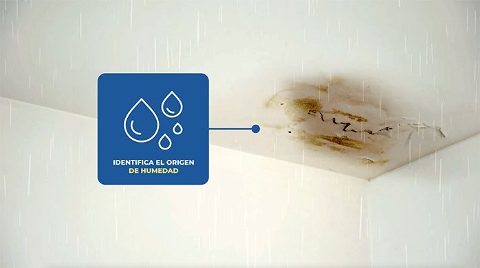 un cielo raso dañado por la humedad producto de una filtración de agua
