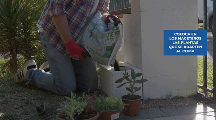 un hombre pone tierra de hoja en los maceteros de ladrillo y se ven las plantas decorativas que va a plantar