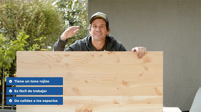 un hombre sostiene un trozo de pino oregón, una madera ideal para la cubierta de la banca plegable.