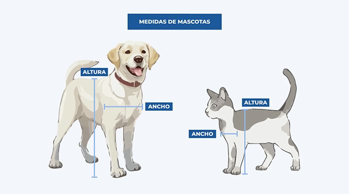 dibujos de un perro y un gato con gráficas que indican su altura y su ancho.