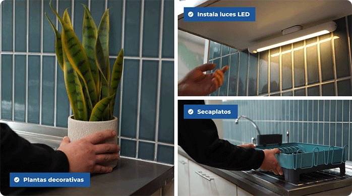 una persona pone diferentes elementos para mejorar el espacio que renovó con mallas cerámicas: una planta decorativa, luces led y un nuevo secaplatos.