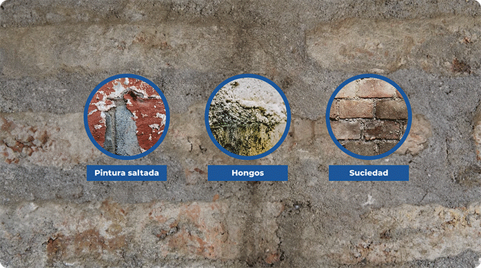 3 problemas comunes en muros exteriores: pintura saltada, hongos y suciedad.