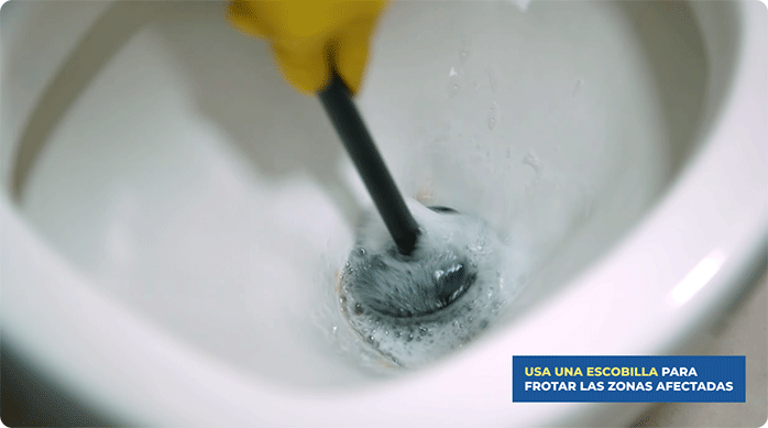 una persona limpia con una escobilla un sanitario o WC.