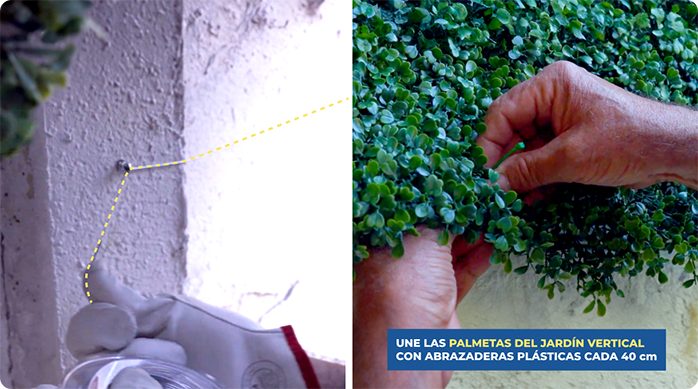 un hombre instala un cable al muro exterior para luego fijar las palmetas de jardín vertical en él.