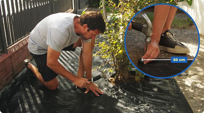un hombre pone una malla antimaleza en el antejardín usando clavos como estacas.