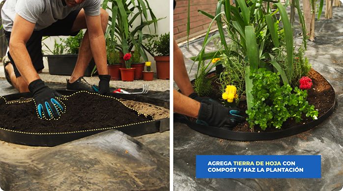 un hombre pone sustrato en el jardín y hace la plantación del jardín de bajo mantenimiento usando cactus, suculentas, yuca y más.