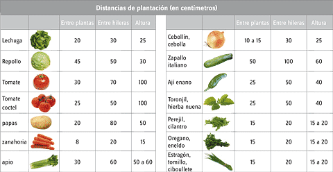 huerta en casa