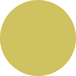 color Guspini YE-011