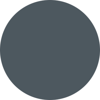 color Puritan black 4213D
