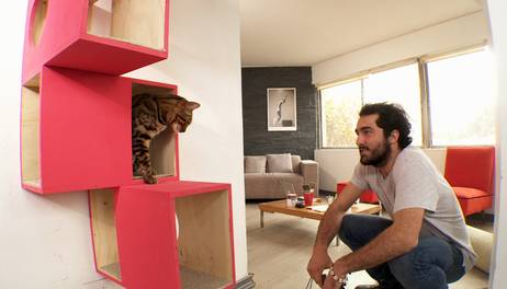 Cómo armar un espacio para el gato