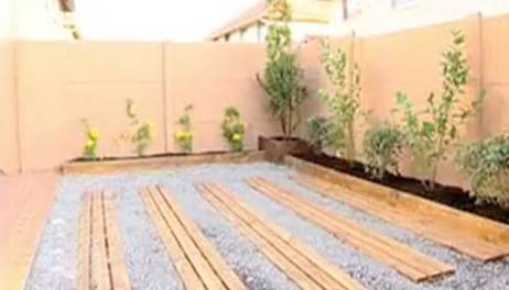 ¿Cómo armar un jardín desde cero?