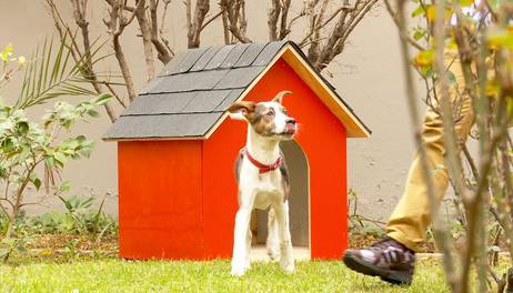 Cómo hacer una casa para perro con aislación